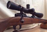 Winchester M70 Varmint 243 - 2 of 9