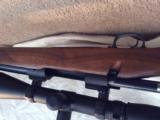 Winchester M70 Varmint 243 - 5 of 9