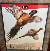 VINTAGE C.I.L (CANADIAN INDUSTRIES LIMITED) CARTRIDGE ADVERTISEMENT WITH HUNTER, SETTER ON POINT, & PHEASANTS GREAT GUNROOM POSTER BY TIM SHORTT - 2 of 3