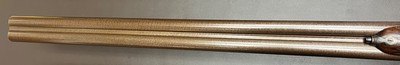 ANTIQUE J.J LANGLEY LUTON 12GA BEST LIVE PIGEON HAMMERGUN 30” M/F BARRELS 3” NITRO PROOF FINE CONDITION LONDON BUILT COMPETITION GUN COMPLETED IN 1891 - Image 10 of 25