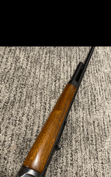 Winchester Model 64 .219 Zipper - 4 of 11