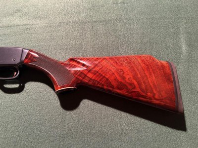 Winchester Super X
12 ga.