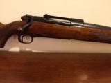WINCHESTER PRE 64 TRANSITION MODEL 70 IN .220 SWIFT - 3 of 12
