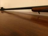 WINCHESTER PRE 64 TRANSITION MODEL 70 IN .220 SWIFT - 8 of 12