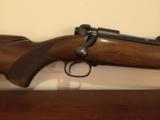 WINCHESTER MODEL 70 TRANSITION RIFLE - 3 of 12