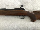 Winchester pre 64 Model 70 Varmint .243 - 8 of 12