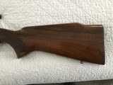 Winchester pre 64 Model 70 Varmint .243 - 7 of 12
