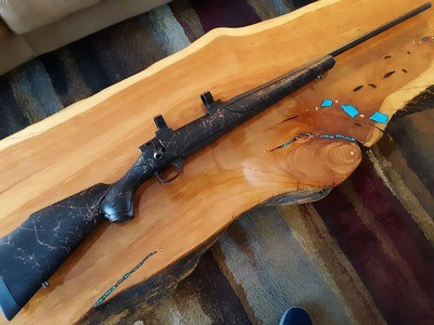 Weatherby Vanguard .257 Wby Mag