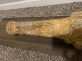 Shipwreck cannon from Spanish ship sank in 1656 - 2 of 5