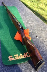 7MM REM. MAG. COLT SPORTING RIFE IN 99%+ - 9 of 15