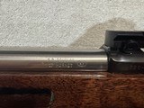 Ruger 77/ .17 Hornet - 11 of 14
