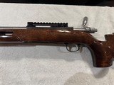 Ruger 77/ .17 Hornet - 8 of 14