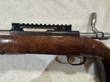 Ruger 77/ .17 Hornet - 12 of 14