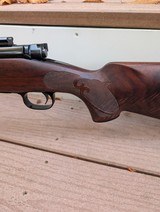Winchester model 70 feather weight 7mm-08 exceptional wood - 3 of 14