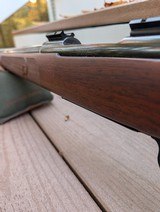 Winchester model 70 feather weight 7mm-08 exceptional wood - 4 of 14