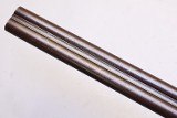William Evans (from Purdeys), Antique Hammergun, 12 Ga, 27.5