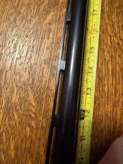 Remington 1100 STD WT 20 26” Vent Rib Fixed Skeet 2 3/4” Shells - Image 6 of 15