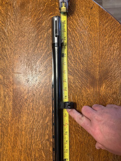 Browning a5 20 Ga Mag Vent Rib Fixed Cyl Choke Belgium 3” Shells - Image 8 of 18