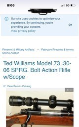 ted williams model 73/ winchester
