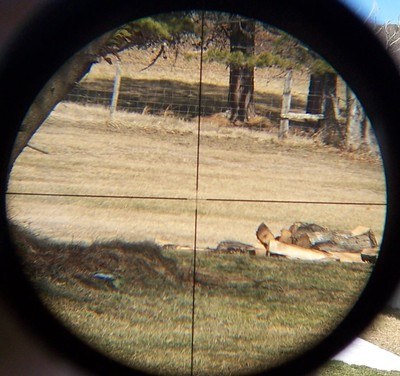 Leupold Vari X-II 4-12x40mm Rifle Scope *Gloss* 1996 - Image 8 of 9
