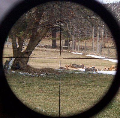 Leupold VX-I 2-7x33mm Hunting Scope ~Gloss~ MINTY 53743 2003 - Image 7 of 8