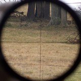 Leupold 12x40mm A.O. Varmint Rifle Scope Fine Plex ~Gloss~ 2003 - Image 9 of 11