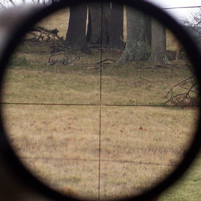 Leupold 12x40mm A.O. Varmint Rifle Scope Fine Plex ~Gloss~ 2003 - Image 9 of 11