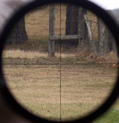 Leupold 12x40mm A.O. Varmint Rifle Scope Fine Plex ~Gloss~ 2003 - Image 10 of 11