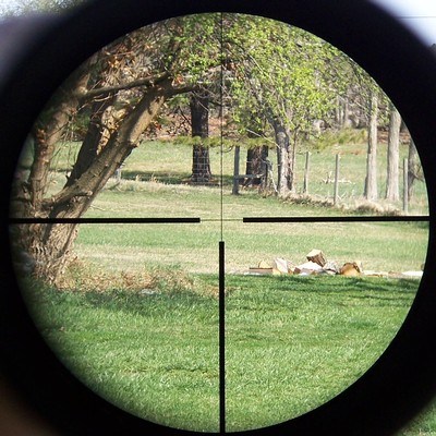 Swarovski Habicht 3-10x42mm Rifle Scope ~Austria~ No. 4 Reticle Nice - Image 8 of 9