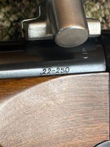 22-250 - 8 of 12