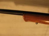 CZ 550 Magnum in 416 Rigby - 15 of 15