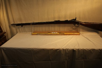 Springfield Model 1878 in 45-70