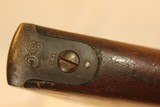 1884 Springfield Carbine marked South Carolina in 45-70 - 15 of 15