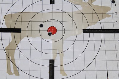 Double Rifle made on a Sauer Action .450 3 1/4