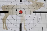 Double Rifle made on a Sauer Action .450 3 1/4