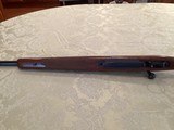 Winchester Model 70 XTR Sporter 338 Win Mag - 12 of 15