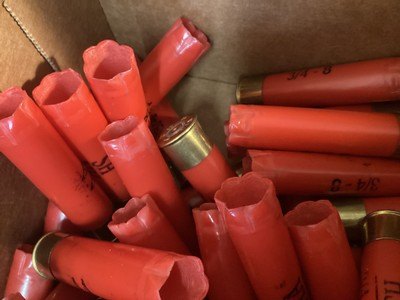Winchester 28 gauge once fired AA HS hulls - Image 3 of 3