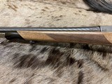 FREE SAFARI - NEW STEYR ARMS CL II HALF STOCK 25-06 REMINGTON RIFLE CLII - LAYAWAY AVAILABLE - 14 of 24