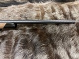 FREE SAFARI - NEW STEYR ARMS CL II HALF STOCK 25-06 REMINGTON RIFLE CLII - LAYAWAY AVAILABLE - 7 of 24
