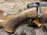 FREE SAFARI - NEW STEYR ARMS CL II HALF STOCK 25-06 REMINGTON RIFLE CLII - LAYAWAY AVAILABLE - 4 of 24