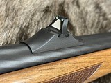 FREE SAFARI - NEW STEYR ARMS CL II FULL STOCK 308 WINCHESTER RIFLE CLII - 8 of 25