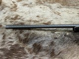 FREE SAFARI - NEW STEYR ARMS CLII HALF STOCK 300 WINCHESTER MAG RIFLE CL II - LAYAWAY AVAILABLE - 14 of 23