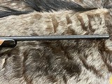 FREE SAFARI - NEW STEYR ARMS CLII HALF STOCK 300 WINCHESTER MAG RIFLE CL II - LAYAWAY AVAILABLE - 7 of 23