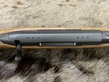 FREE SAFARI - NEW STEYR ARMS CLII HALF STOCK 300 WINCHESTER MAG RIFLE CL II - 8 of 24