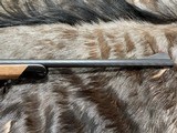 FREE SAFARI - NEW STEYR ARMS CL II HALF STOCK 6.5X55 SWEDE RIFLE CLII - LAYAWAY AVAILABLE - 7 of 23