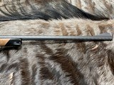 FREE SAFARI, NEW LEFT HAND STEYR ARMS CLII HALF STOCK 300 WIN MAG CL II - LAYAWAY AVAILABLE - 14 of 23