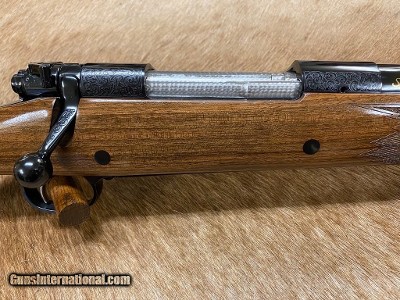 FREE SAFARI - MONTANA ALR SAFARI ELITE 375 RUGER RIFLE AFRICAN DGR - LAYAWAY AVAILABLE