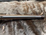 FREE SAFARI - NEW STEYR ARMS CL II FULL STOCK 25-06 REMINGTON RIFLE CLII - LAYAWAY AVAILABLE - 10 of 24