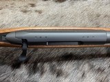 FREE SAFARI - NEW STEYR ARMS CL II FULL STOCK 25-06 REMINGTON RIFLE CLII - LAYAWAY AVAILABLE - 8 of 24