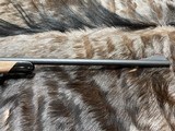 FREE SAFARI, NEW STEYR ARMS CL II HALF STOCK 270 WSM RIFLE CLII - LAYAWAY AVAILABLE - 7 of 24